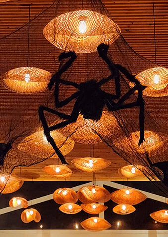 Пауки и летучие мыши? Это точно к Хэллоуину!