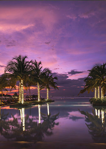 Даже пальмы хотят быть похожими на новогодние елочки!