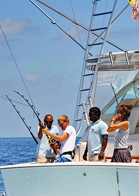 Поймать и съесть гигантского тунца или парусника