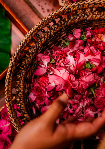 Попробуйте фирменную ванну Kawa с лепестками цветов!