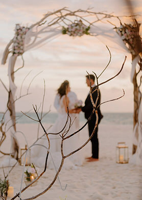 Воспользоваться фирменным свадебным сервисом