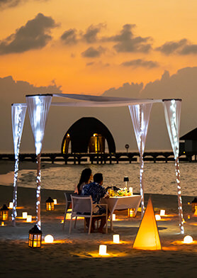 Устраивать романтические ужины на берегу океана