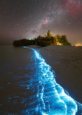 Восхищаться «звездным» пляжем