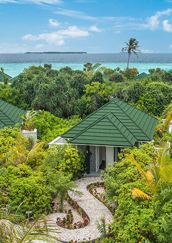 Очаровательные спа-сьюты утопают в джунглях