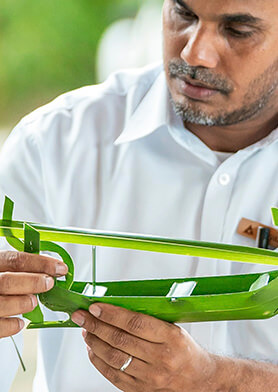 Приобщаться к аутентичной местной культуре