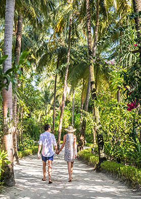 Неспешно прогуливаться по пальмовой роще