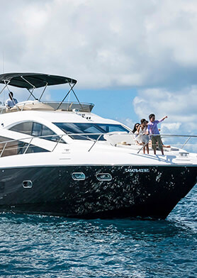 Всей семьей отправиться на поиски приключений