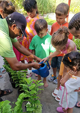 Юные биологи на практике в саду