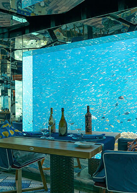 Дегустировать вина в подводном ресторане Sea