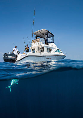 Сразиться с морским монстром на большой рыбалке