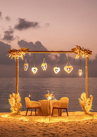 В День святого Валентина Patina особенно романтичен