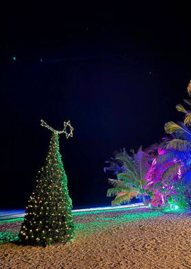 На мальдивском пляже родилась елочка…