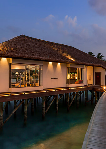 Ozenergy расположен над хрустальной лагуной