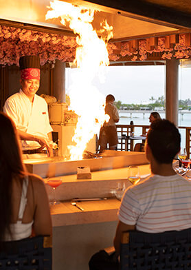 Восхищаться искусством мастера теппаньяки