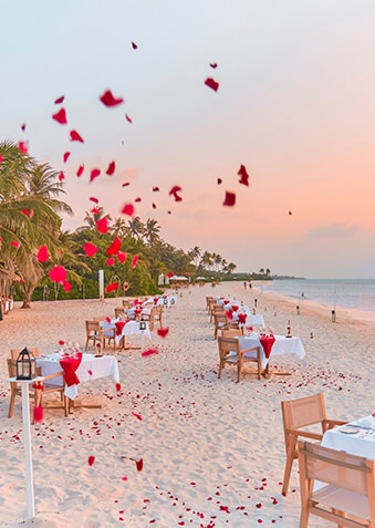 Так романтично Jawakara встречает День Влюбленных