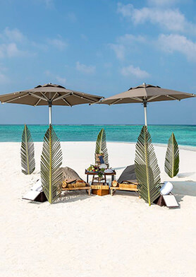 Устроить пикник на песчаной отмели