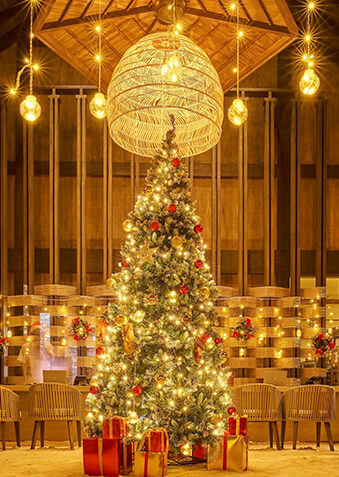 Новогодний Jawakara Maldives по-настоящему прекрасен!