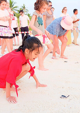 Устроить охоту на крабов