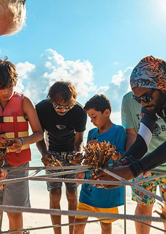 Эти кораллы будут расти вместе с юными гостями отеля