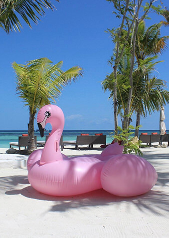 Кто желает покататься верхом на розовом фламинго?