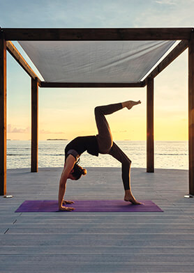 Йога-сала и асаны в исполнении мастера