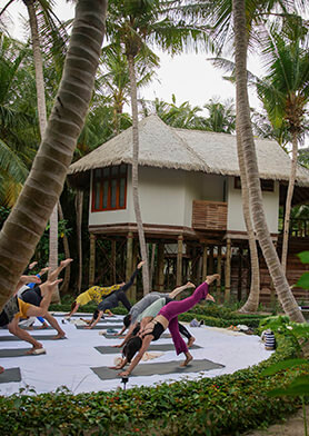 Групповые занятия йогой проводятся ежедневно и бесплатно