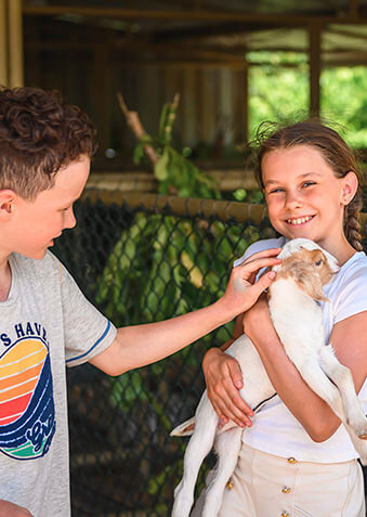 На ферме Siyam World живут не только лошади