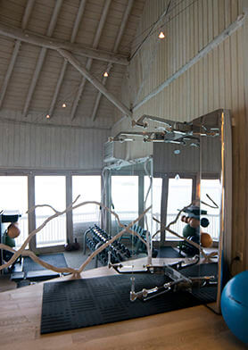 Профессиональные силовые тренажеры