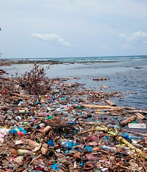 Мусорный остров