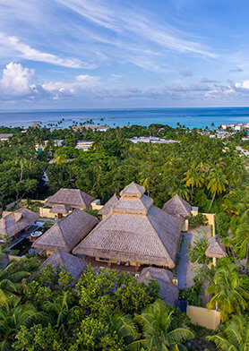 Emerald Spa утопает в пышном тропическом саду