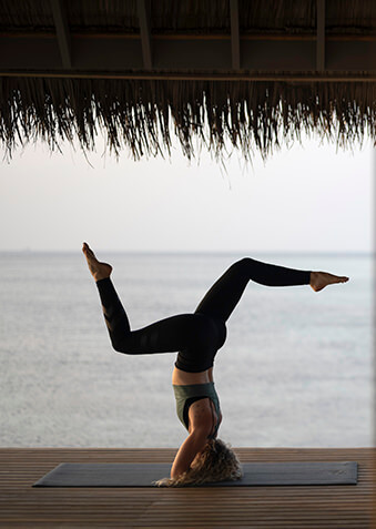 Найдите путь к красоте, здоровью и внутренней гармонии!