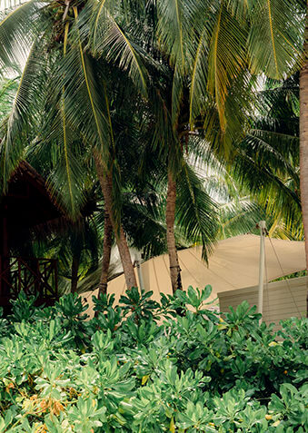 One Tribe – территория племени подростков