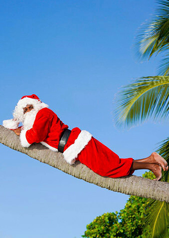 Почему бы Санта-Клаусу не отдохнуть на пальме?