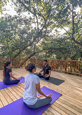 Йога и медитации – индивидуально и в группах