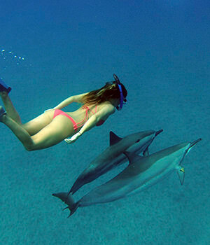 Плавание с дельфинами