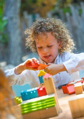 Кто лучший строитель на свете?