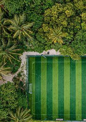 В распоряжении гостей футбольное поле