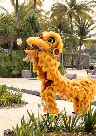 Новый год в китайском стиле – приметы праздника