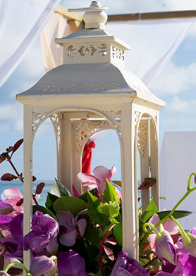 Насладиться красивейшей свадебной церемонией