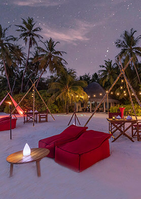 Насладиться азиатским фаст-фудом во время Took Took night