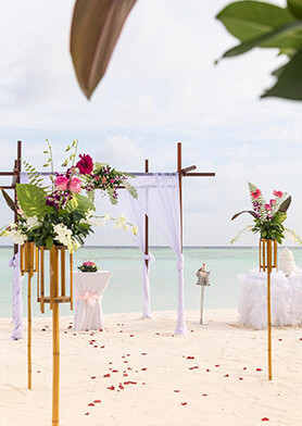 Устроить восхитительную свадьбу на фоне океана