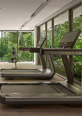 Современный фитнес-центр окружен пышной растительностью