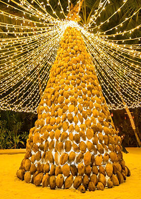 Вот такая рождественская елочка а-ля тропики!