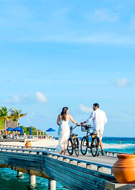 Исследовать остров на велосипедах