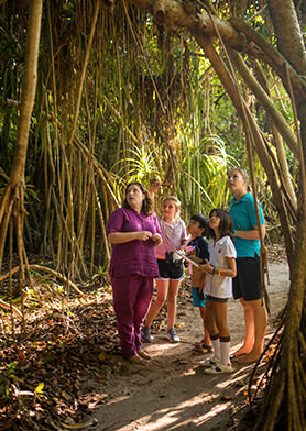 Исследовать первозданные джунгли