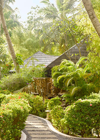 Araamu Spa утопает в изумруде тропического сада