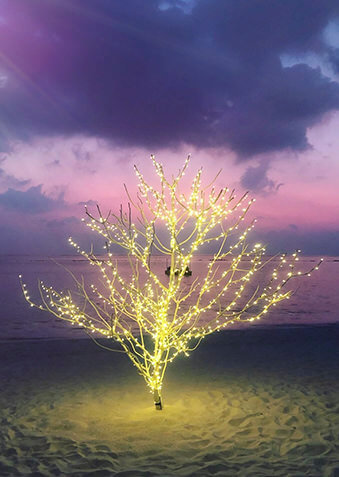 На закате включается праздничная иллюминация