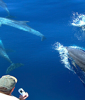 Классическая групповая экскурсия