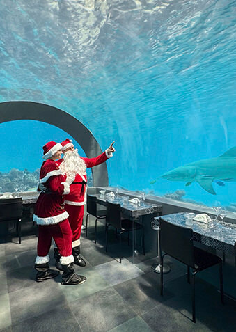 Смотри, скоро Новый год придет и на дно океана!