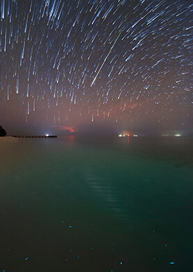 Смотреть фантастические шоу от самой природы